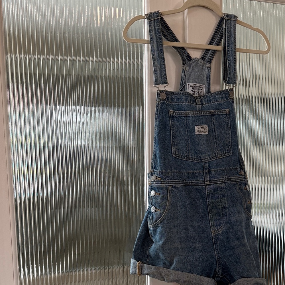 Levi’s overalls from REVOLVE - Picture 3 of 5